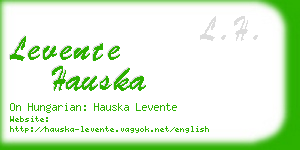 levente hauska business card